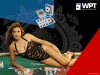 poker-oboi